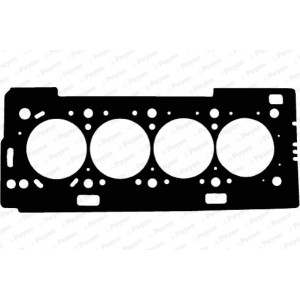 PAYEN Dichtung, Zylinderkopf AD5180