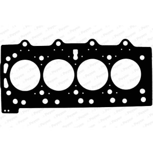 PAYEN Dichtung, Zylinderkopf AD5190