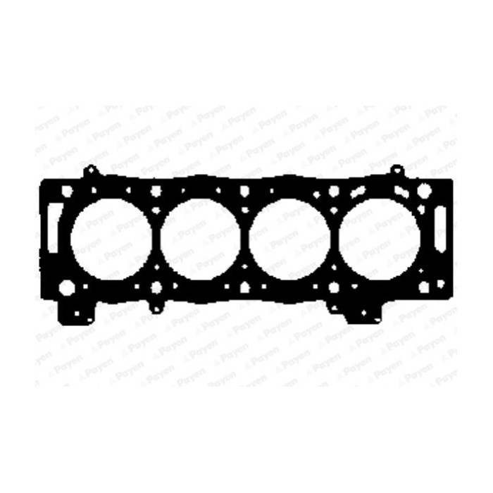 PAYEN Dichtung, Zylinderkopf AD5510