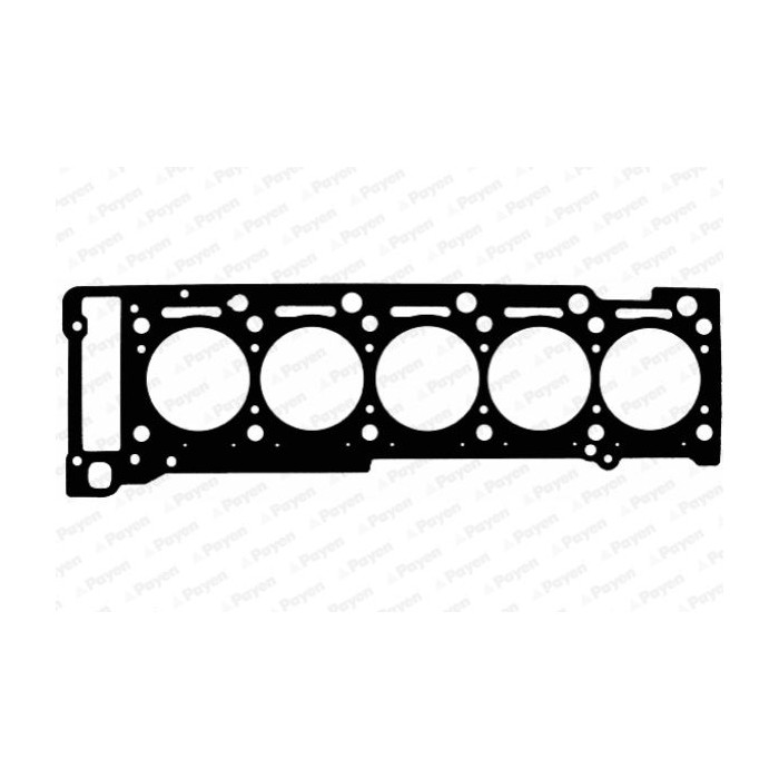 PAYEN Dichtung, Zylinderkopf AD5720