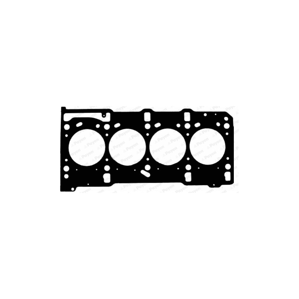 PAYEN Dichtung, Zylinderkopf AD5810