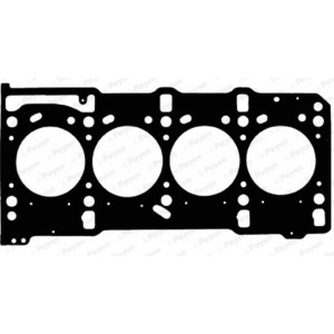 PAYEN Dichtung, Zylinderkopf AD5820