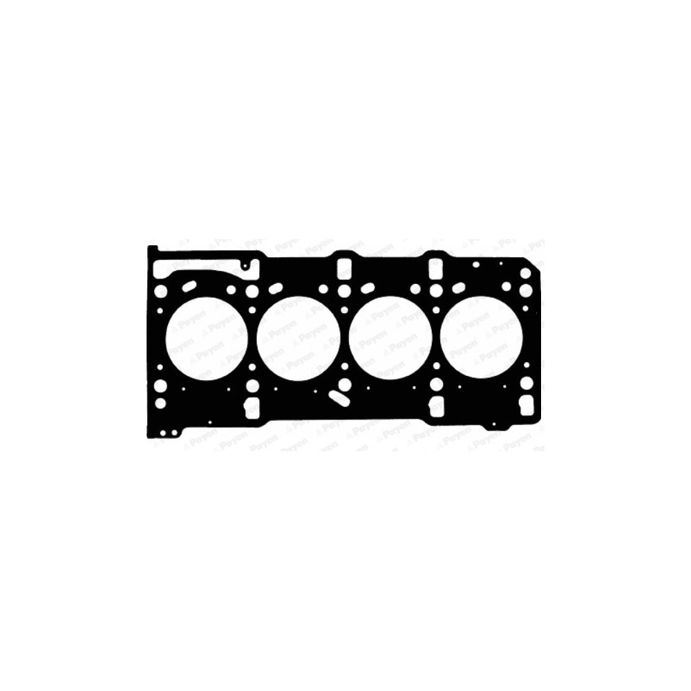 PAYEN Dichtung, Zylinderkopf AD5820