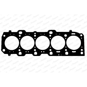 PAYEN Dichtung, Zylinderkopf AD5960