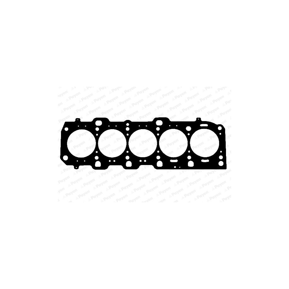 PAYEN Dichtung, Zylinderkopf AD5960