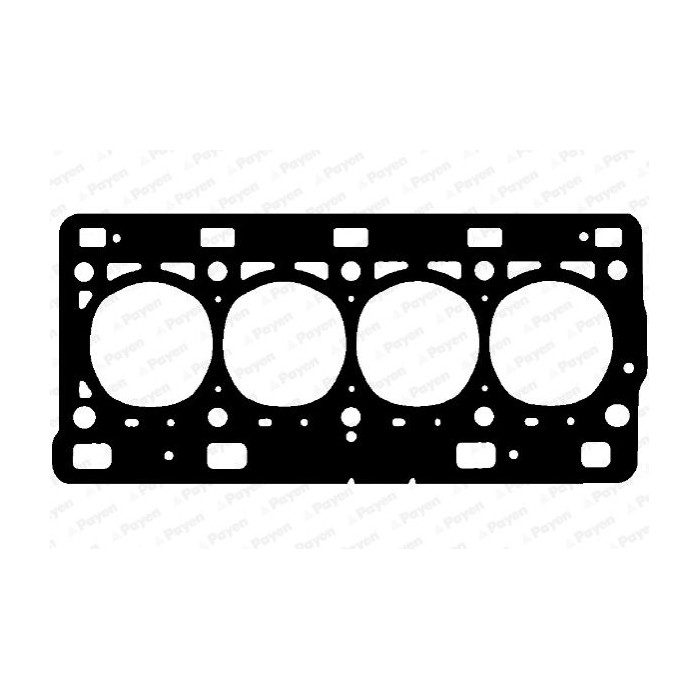 PAYEN Dichtung, Zylinderkopf AD5980