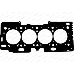 PAYEN Dichtung, Zylinderkopf AE5010