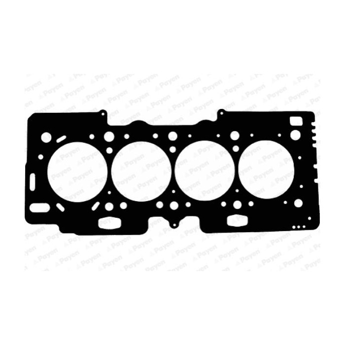 PAYEN Dichtung, Zylinderkopf AE5010