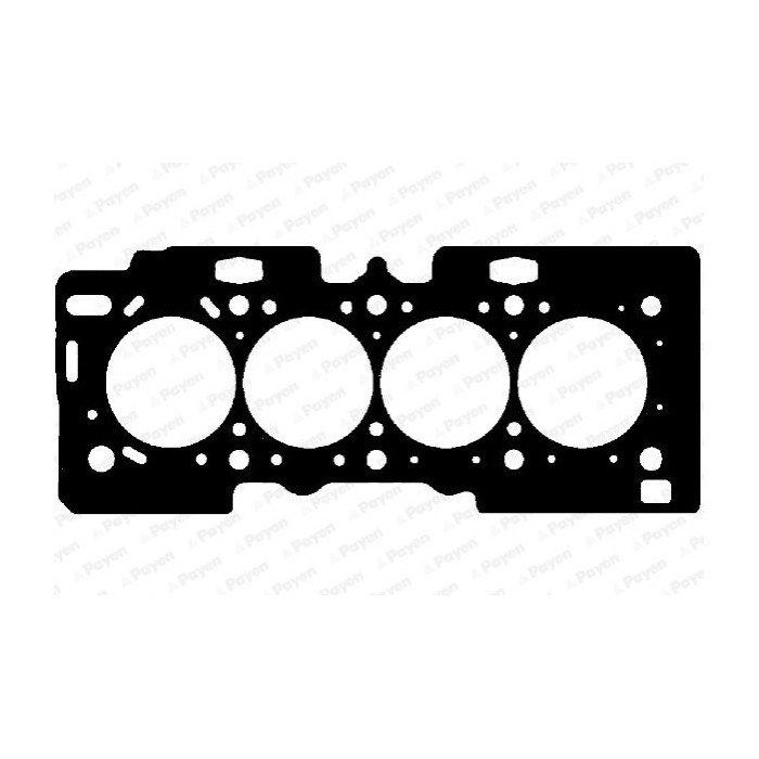 PAYEN Dichtung, Zylinderkopf AE5030