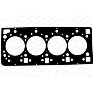 PAYEN Dichtung, Zylinderkopf AE5050