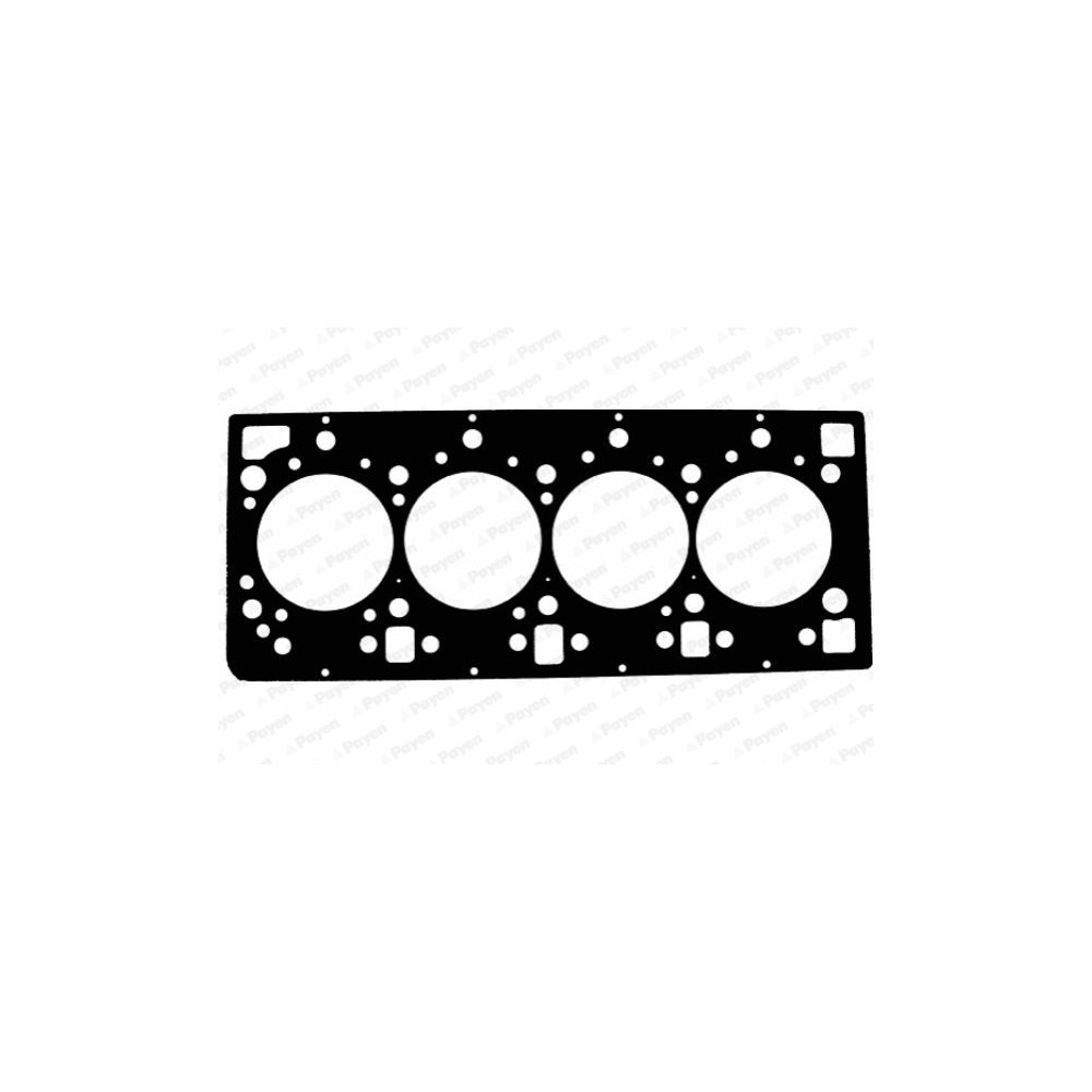 PAYEN Dichtung, Zylinderkopf AE5050
