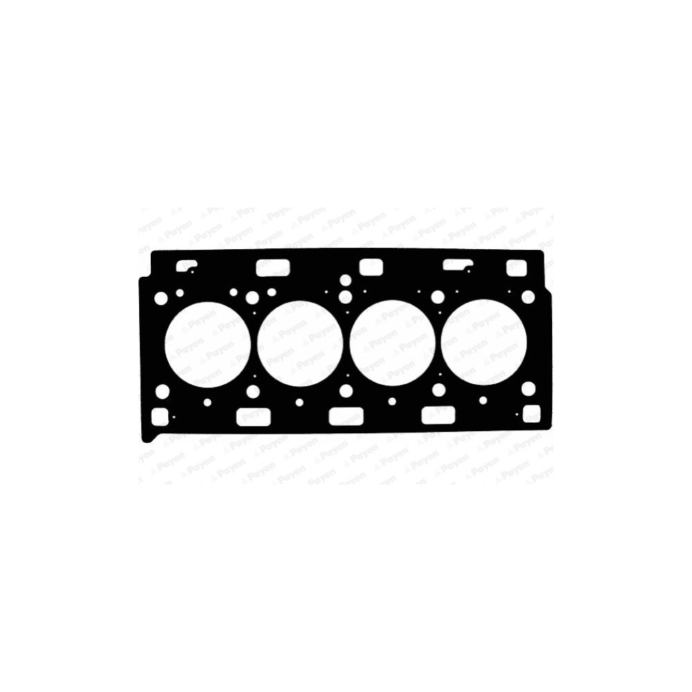 PAYEN Dichtung, Zylinderkopf AE5210