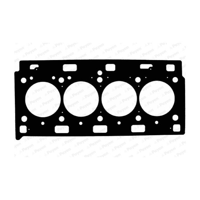 PAYEN Dichtung, Zylinderkopf AE5210