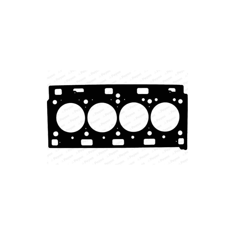PAYEN Dichtung, Zylinderkopf AE5220