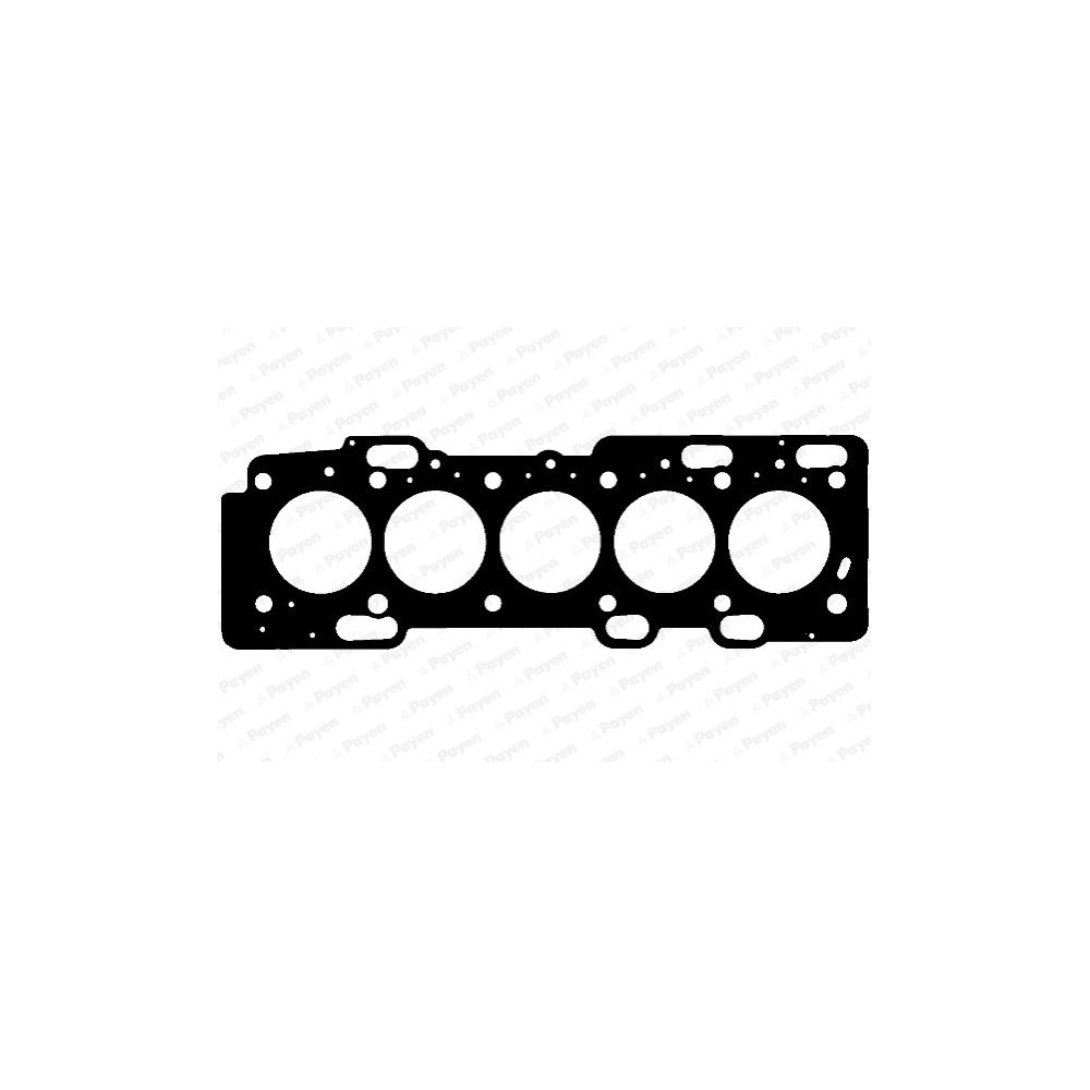 PAYEN Dichtung, Zylinderkopf AE5290