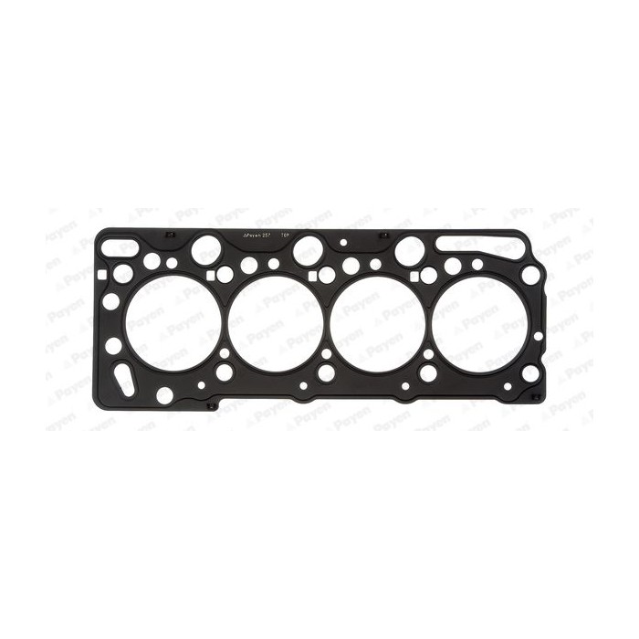 PAYEN Dichtung, Zylinderkopf AE5520