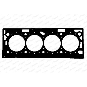 PAYEN Dichtung, Zylinderkopf AE5930