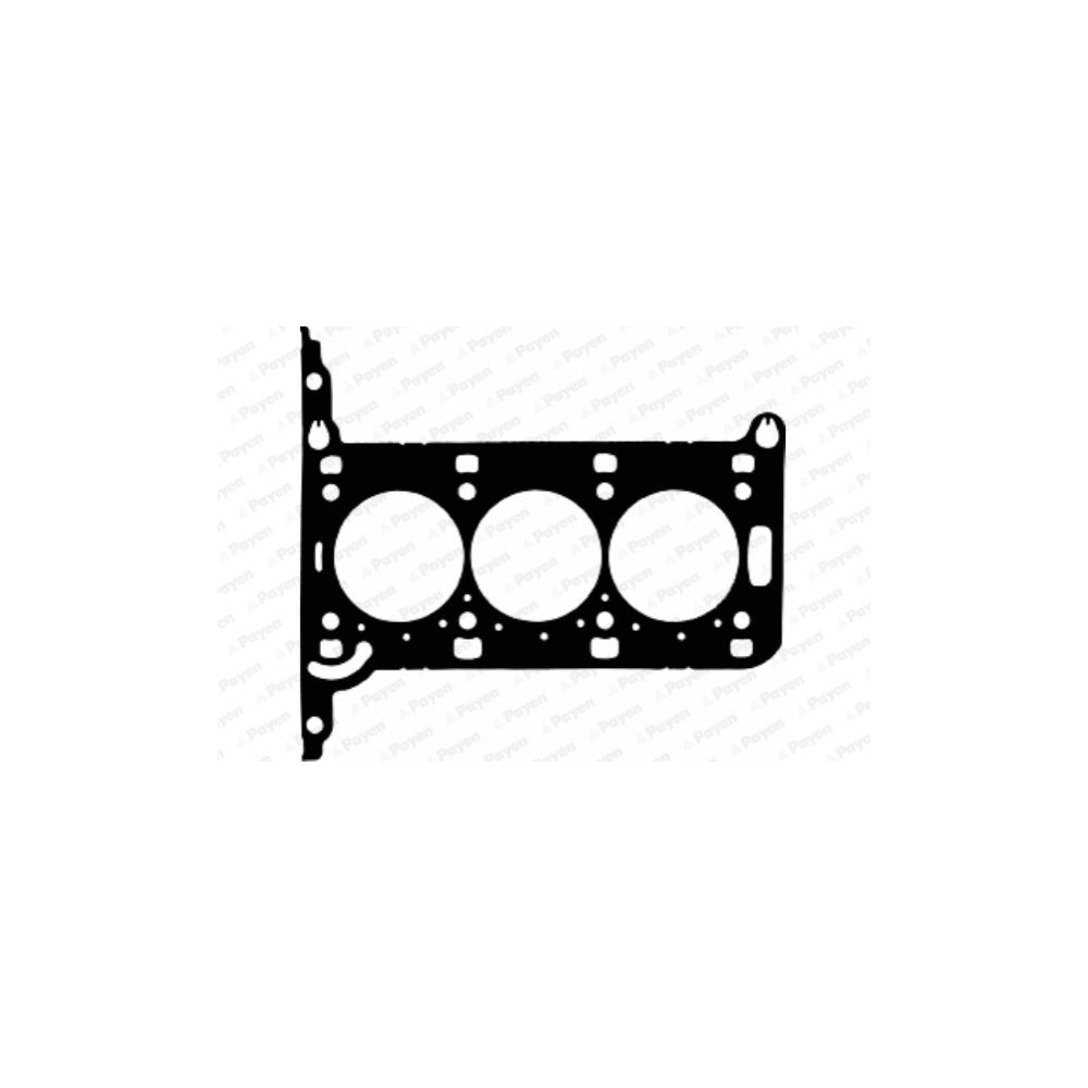 PAYEN Dichtung, Zylinderkopf AE5950