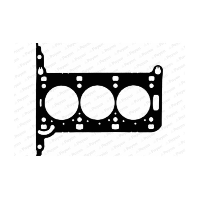 PAYEN Dichtung, Zylinderkopf AE5950