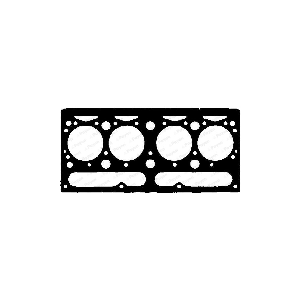 PAYEN Dichtung, Zylinderkopf AE920