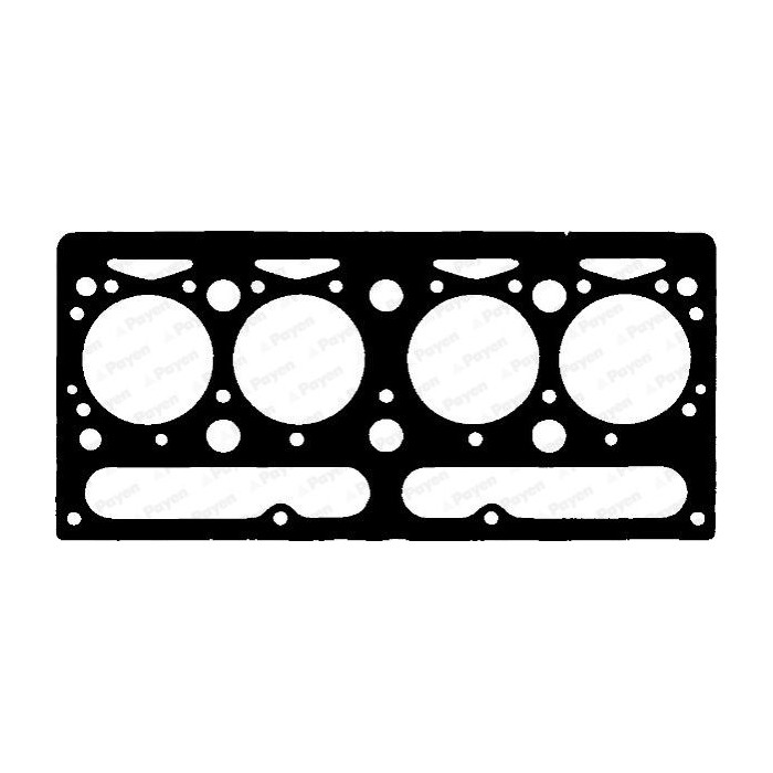 PAYEN Dichtung, Zylinderkopf AE920