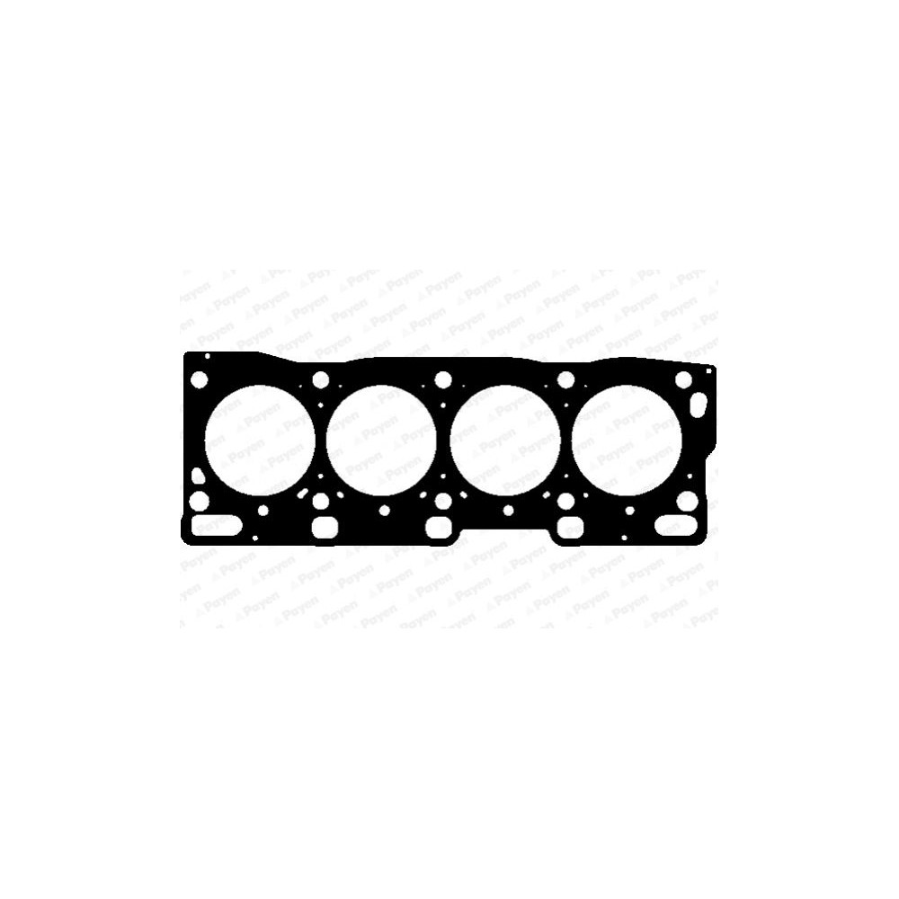 PAYEN Dichtung, Zylinderkopf AG5130