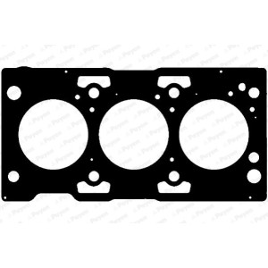 PAYEN Dichtung, Zylinderkopf AG7910