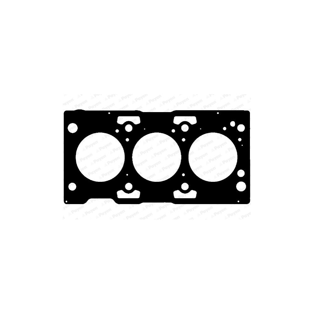 PAYEN Dichtung, Zylinderkopf AG7910