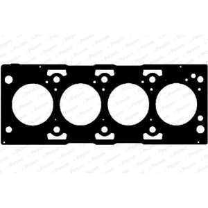 PAYEN Dichtung, Zylinderkopf AG7930