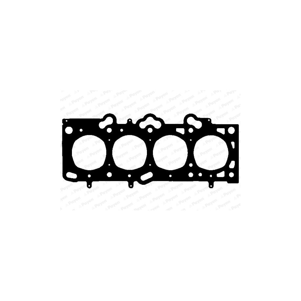 PAYEN Dichtung, Zylinderkopf AG8040