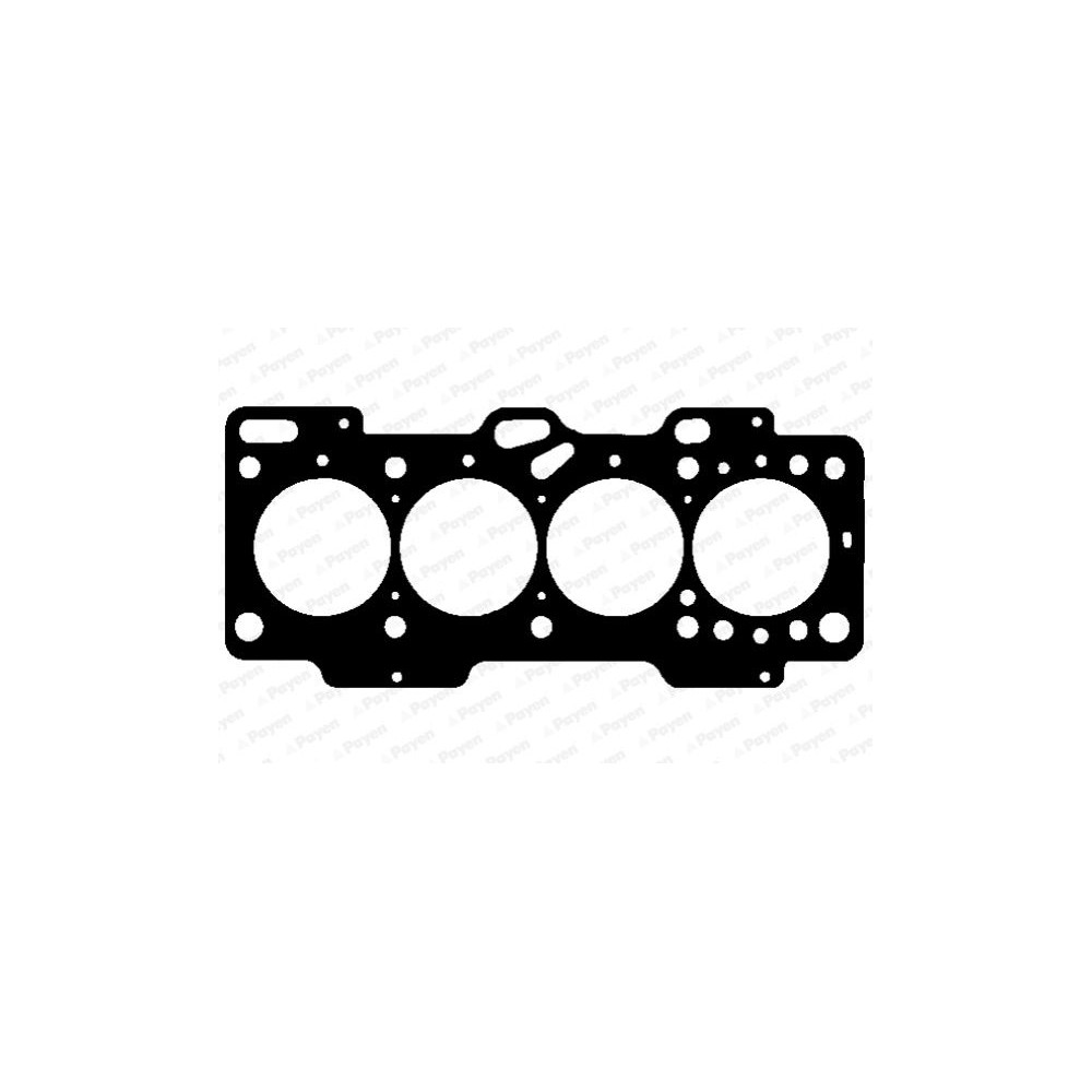 PAYEN Dichtung, Zylinderkopf AG8060