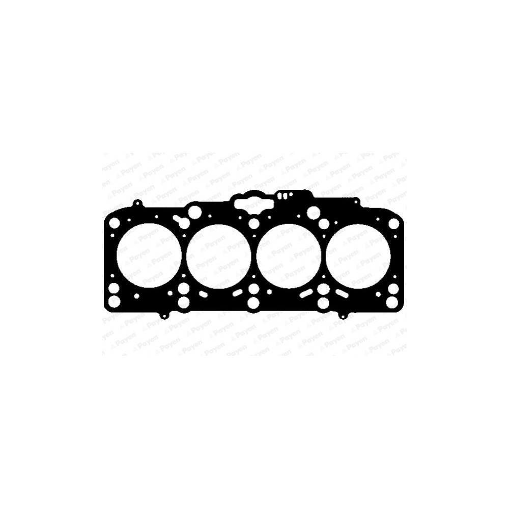 PAYEN Dichtung, Zylinderkopf AG8960