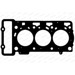 PAYEN Dichtung, Zylinderkopf AG8990