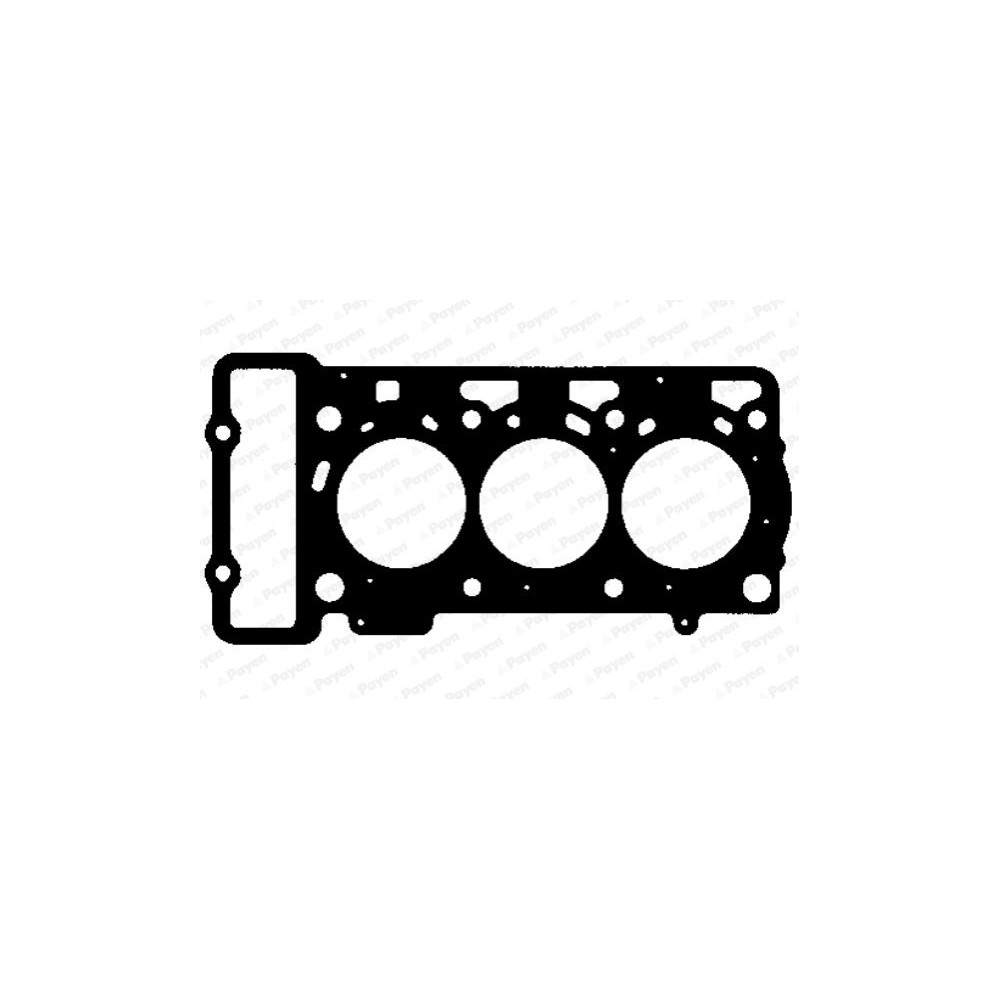 PAYEN Dichtung, Zylinderkopf AG8990