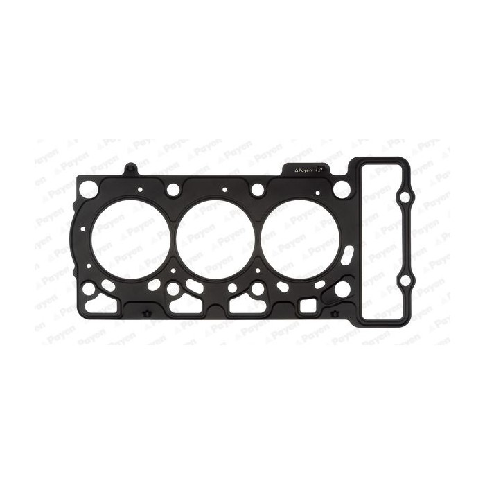 PAYEN Dichtung, Zylinderkopf AG8990