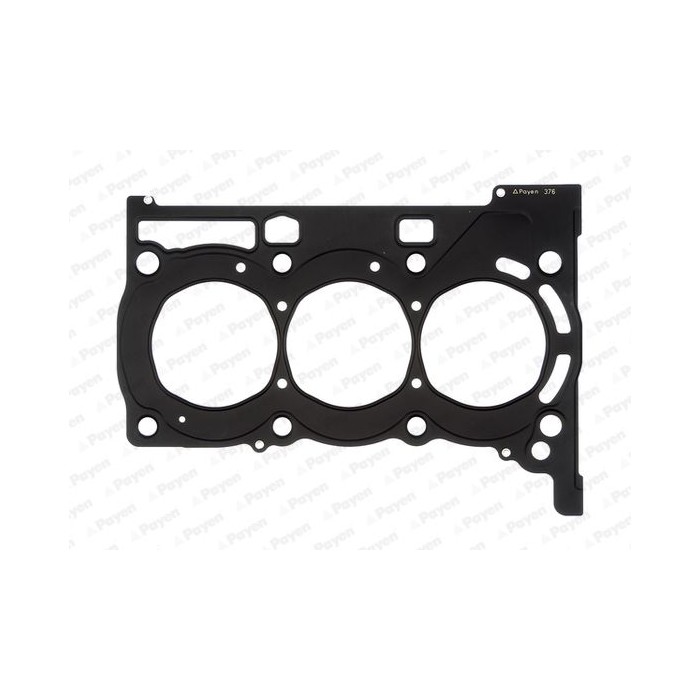 PAYEN Dichtung, Zylinderkopf AG9310