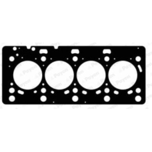 PAYEN Dichtung, Zylinderkopf AG9490