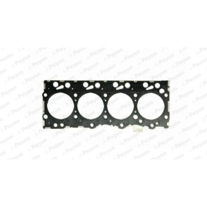 PAYEN Dichtung, Zylinderkopf AG9510