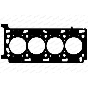 PAYEN Dichtung, Zylinderkopf AG9760