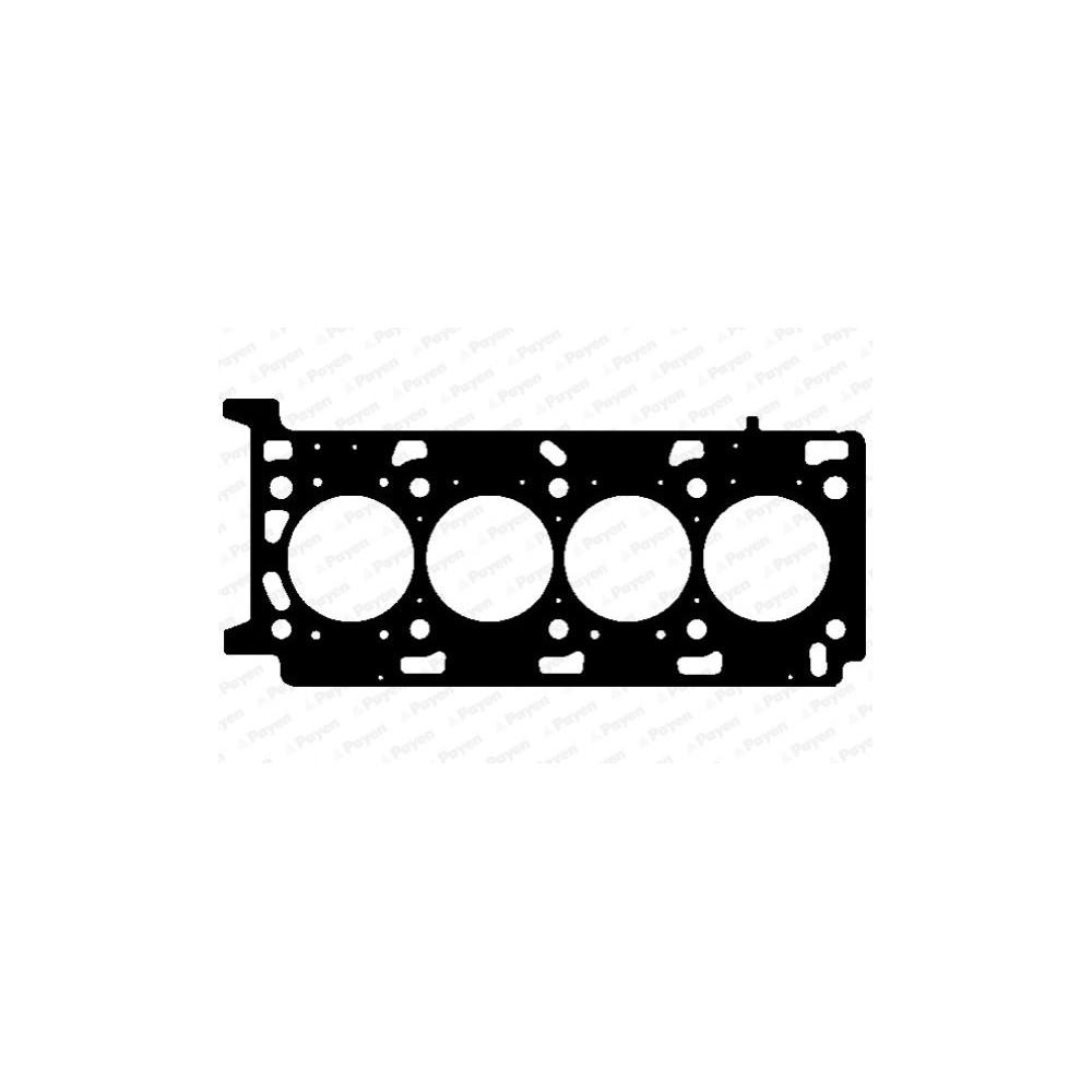 PAYEN Dichtung, Zylinderkopf AG9760