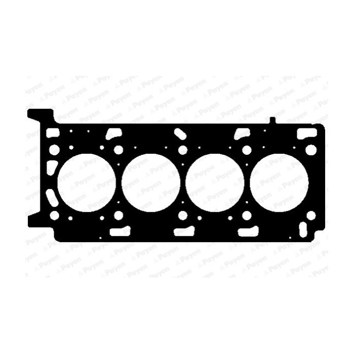 PAYEN Dichtung, Zylinderkopf AG9760