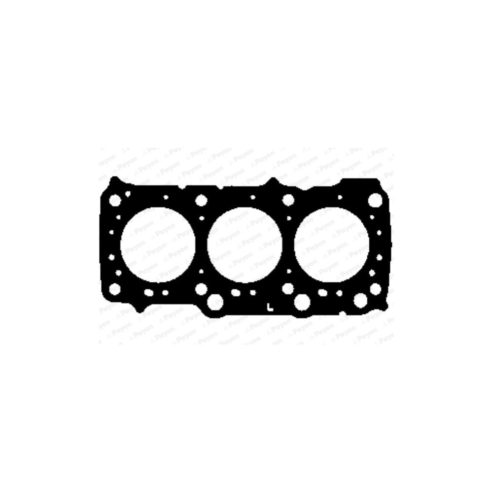 PAYEN Dichtung, Zylinderkopf AG9820