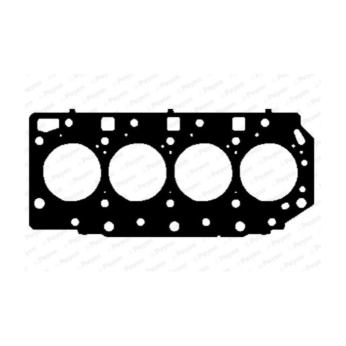PAYEN Dichtung, Zylinderkopf AG9890