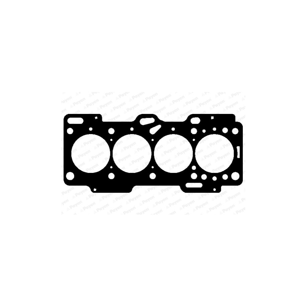PAYEN Dichtung, Zylinderkopf AG9900