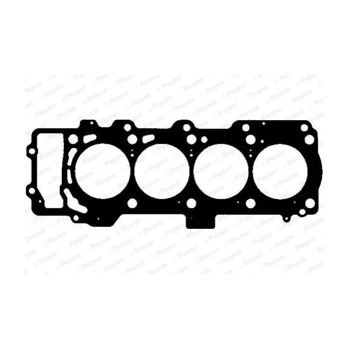 PAYEN Dichtung, Zylinderkopf AH5000