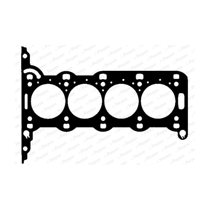 PAYEN Dichtung, Zylinderkopf AH5030