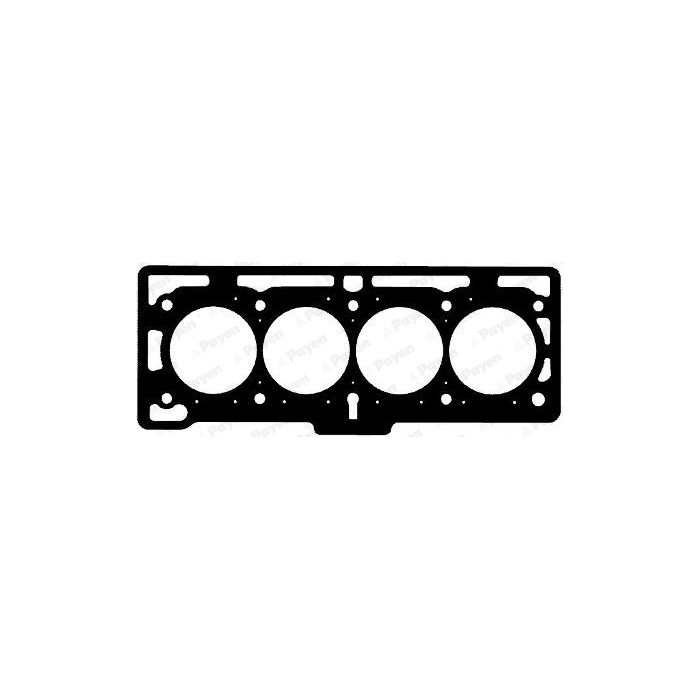 PAYEN Dichtung, Zylinderkopf AH5170