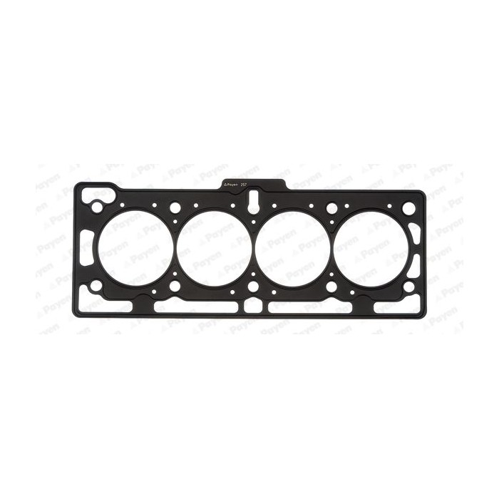 PAYEN Dichtung, Zylinderkopf AH5170