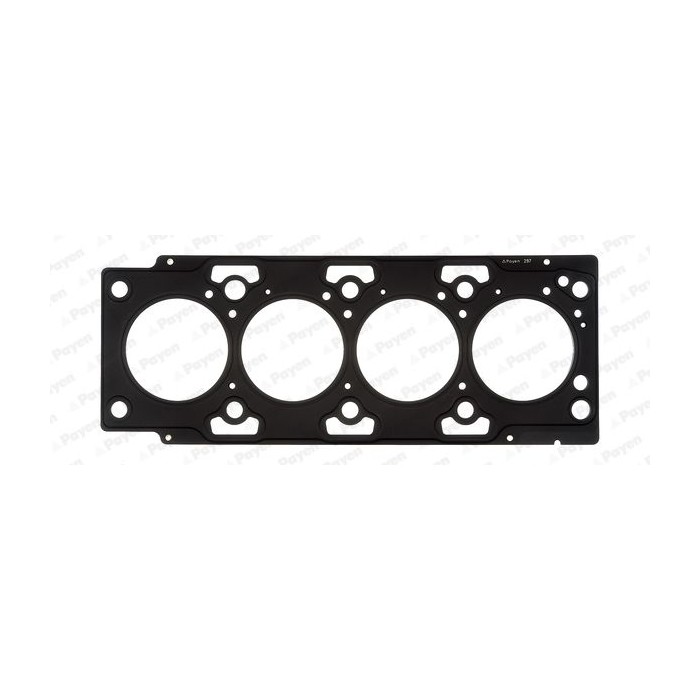 PAYEN Dichtung, Zylinderkopf AH5690