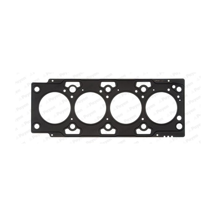 PAYEN Dichtung, Zylinderkopf AH5700